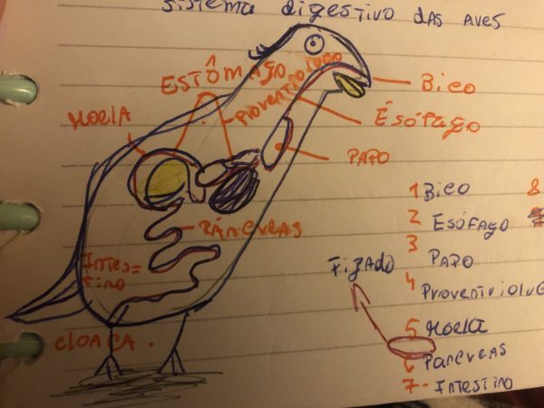 Ciências em desespero…